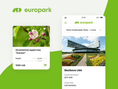 Case study: Redesign of a website for Europark